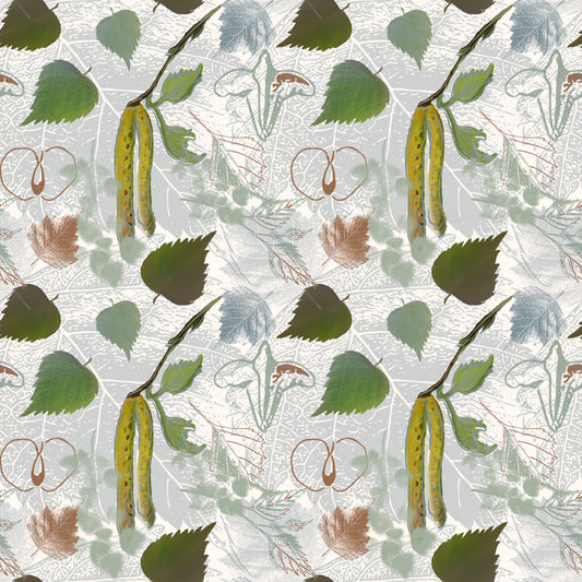 Birch Hangings Wallpaper