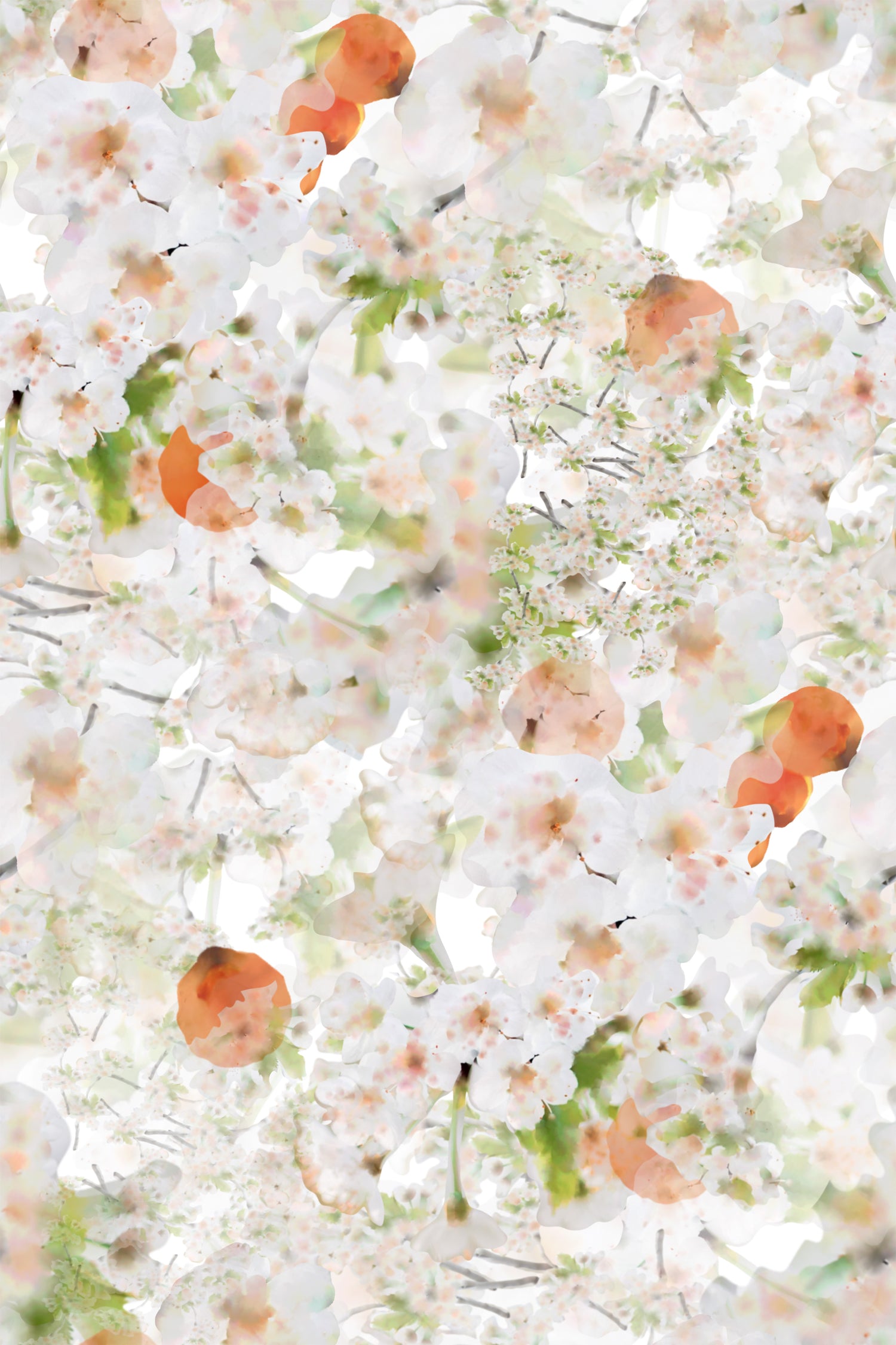 Cherry Blossom Wallpaper